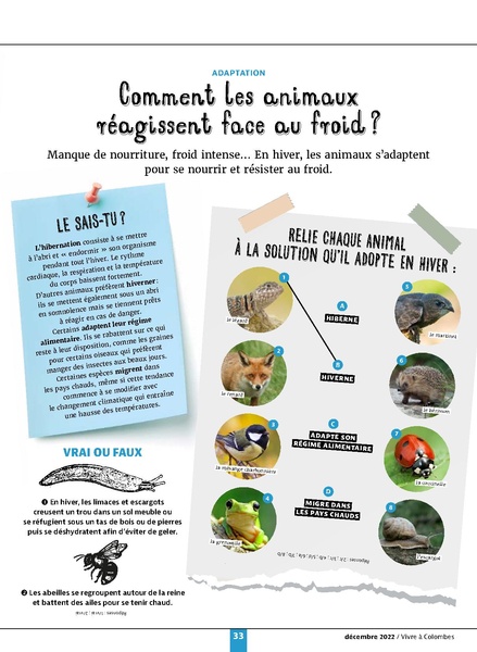 Fichier:VAC n°19 - décembre 2022 - janvier 2023.pdf