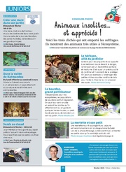 page suivante →