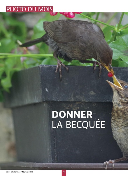 Fichier:VAC n°20 - février 2023.pdf