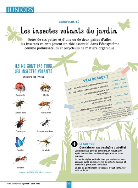 Fichier:VAC n°45 - juillet-août 2025.pdf